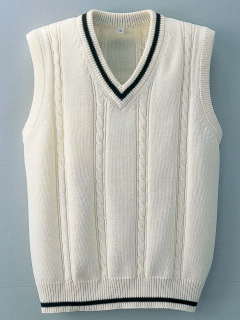 綿混Vネックベスト 160cm